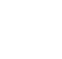 Phoenix-white